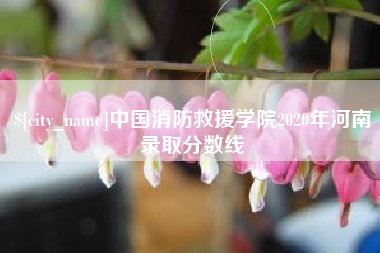 黄南中国消防救援学院2020年河南录取分数线