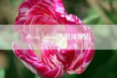 黄南九宫排除法