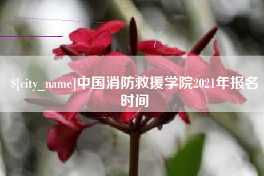 黄南中国消防救援学院2021年报名时间