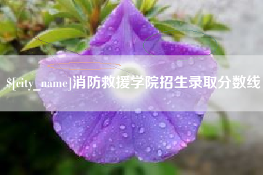 黄南消防救援学院招生录取分数线