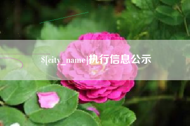 黄南执行信息公示