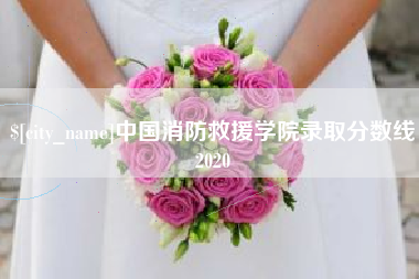 黄南中国消防救援学院录取分数线2020