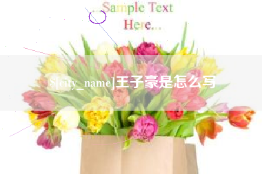 黄南王子豪是怎么写