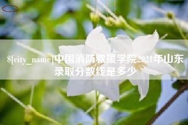 黄南中国消防救援学院2021年山东录取分数线是多少