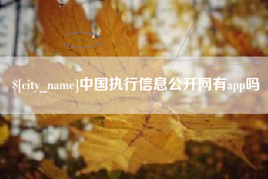 黄南中国执行信息公开网有app吗