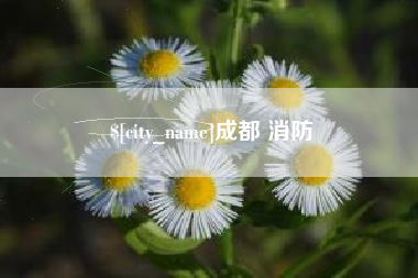 黄南成都 消防