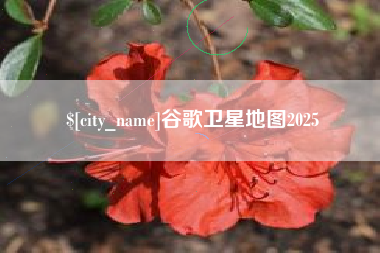 黄南谷歌卫星地图2025