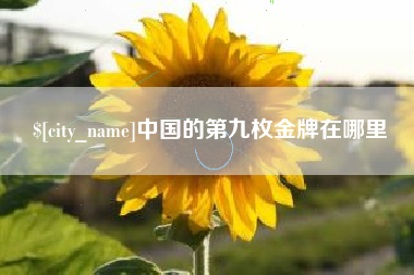 黄南中国的第九枚金牌在哪里