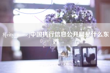 黄南中国执行信息公开网是什么东西