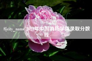 黄南2021年中国消防学院录取分数线