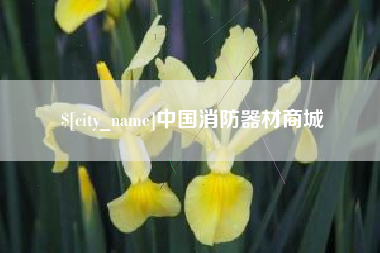 黄南中国消防器材商城