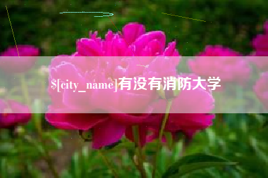 黄南有没有消防大学