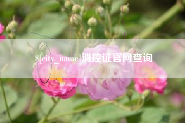 黄南消控证官网查询