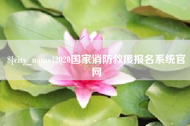 黄南2020国家消防救援报名系统官网