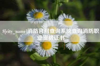 黄南消防官网查询系统查询消防职业资格证书