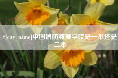 黄南中国消防救援学院是一本还是二本