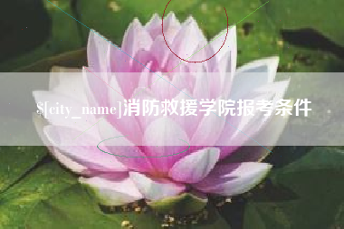 黄南消防救援学院报考条件