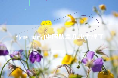 黄南中国队拿几块金牌了