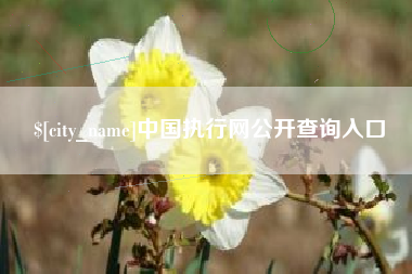 黄南中国执行网公开查询入口