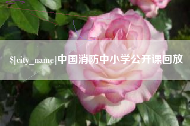 黄南中国消防中小学公开课回放