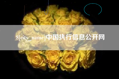 黄南中国执行信息公开网