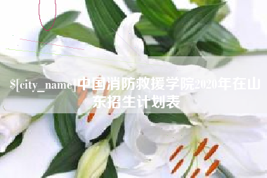 黄南中国消防救援学院2020年在山东招生计划表