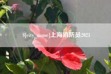 黄南上海消防员2021