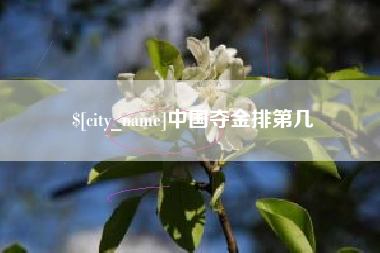 黄南中国夺金排第几
