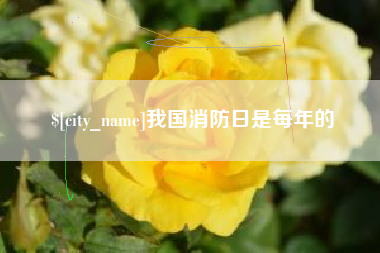 黄南我国消防日是每年的