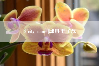 黄南邱县王子磊