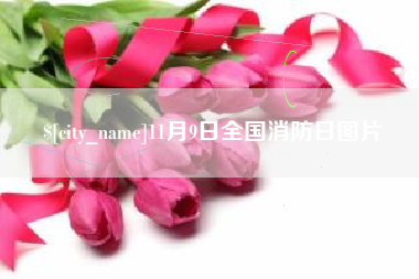黄南11月9日全国消防日图片