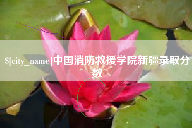 黄南中国消防救援学院新疆录取分数