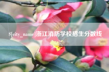 黄南浙江消防学校招生分数线