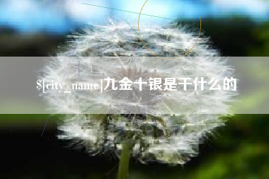 黄南九金十银是干什么的