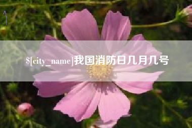 黄南我国消防日几月几号