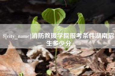 黄南消防救援学院报考条件湖南招生多少分
