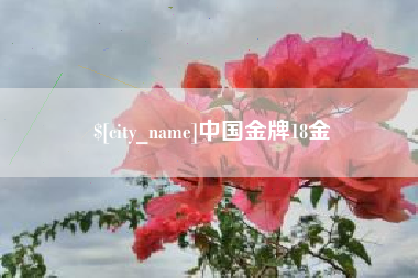 黄南中国金牌18金