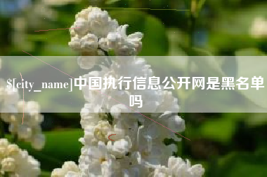 黄南中国执行信息公开网是黑名单吗