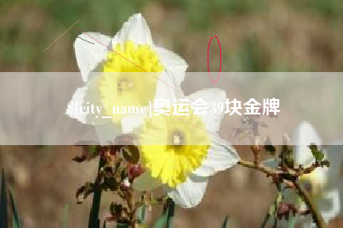 黄南奥运会39块金牌
