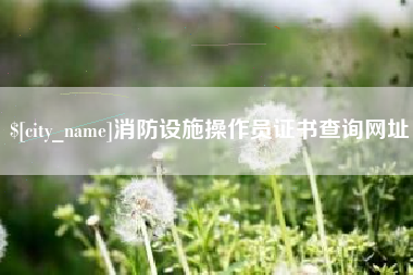黄南消防设施操作员证书查询网址