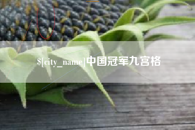 黄南中国冠军九宫格