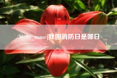 黄南我国消防日是哪日