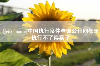 黄南中国执行案件查询公开网都是执行不了得案子