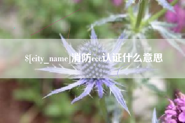 黄南消防ccc认证什么意思