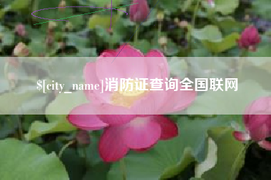 黄南消防证查询全国联网