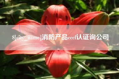 黄南消防产品cccf认证询公司