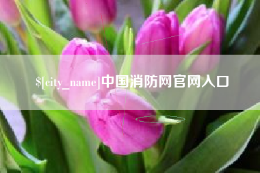 黄南中国消防网官网入口