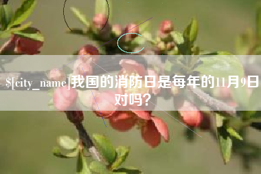 黄南我国的消防日是每年的11月9日对吗？