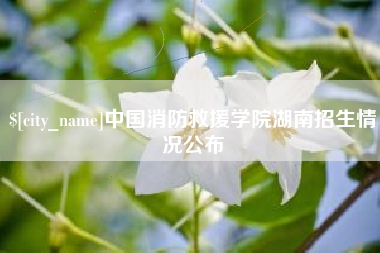 黄南中国消防救援学院湖南招生情况公布