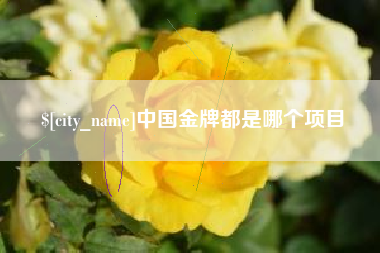黄南中国金牌都是哪个项目
